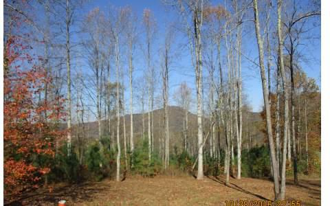 LT 41 Meadow Brooke - Photo 1