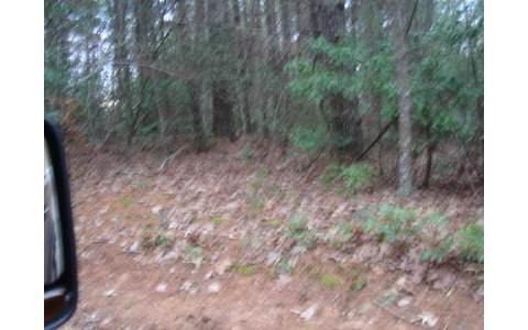 Jones Rd - Photo 1