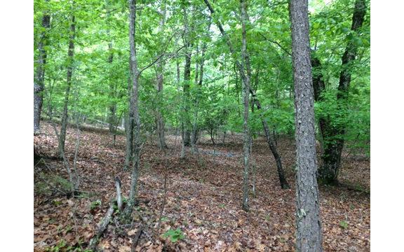LT 2 Wildwood - Photo 1