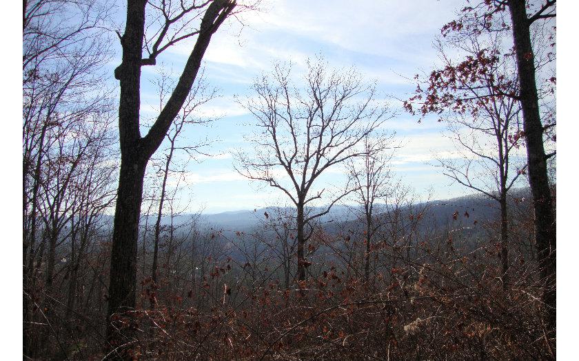 LT 16 Ivy Bend - Photo 1