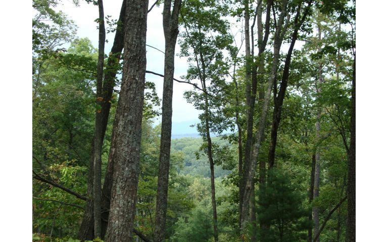 LT 48 Laurel Crest - Photo 1