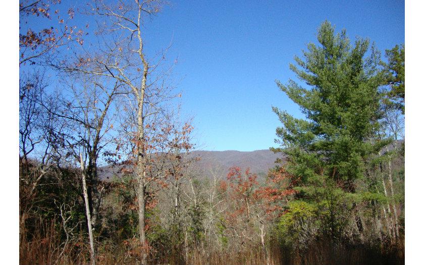 LT 61 Our Hidden Mountain - Photo 1