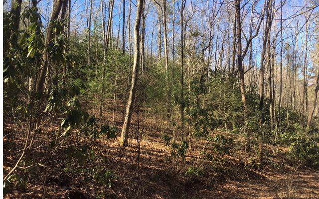 Whispering Pines Hol - Photo 1