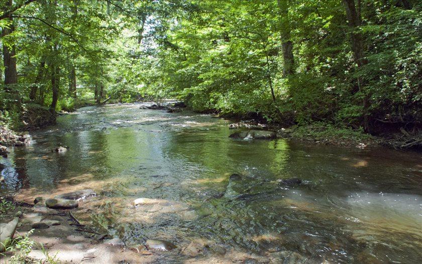 LOT 6 Mountain Meadows - Photo 1
