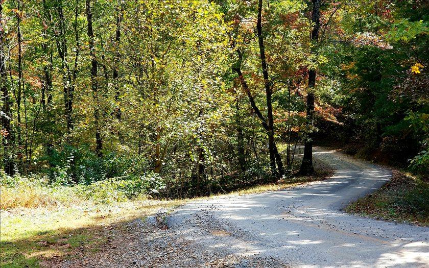 LT 4 Raintree Bend - Photo 1