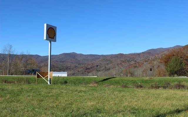 0 Us Highway 19 - Photo 1