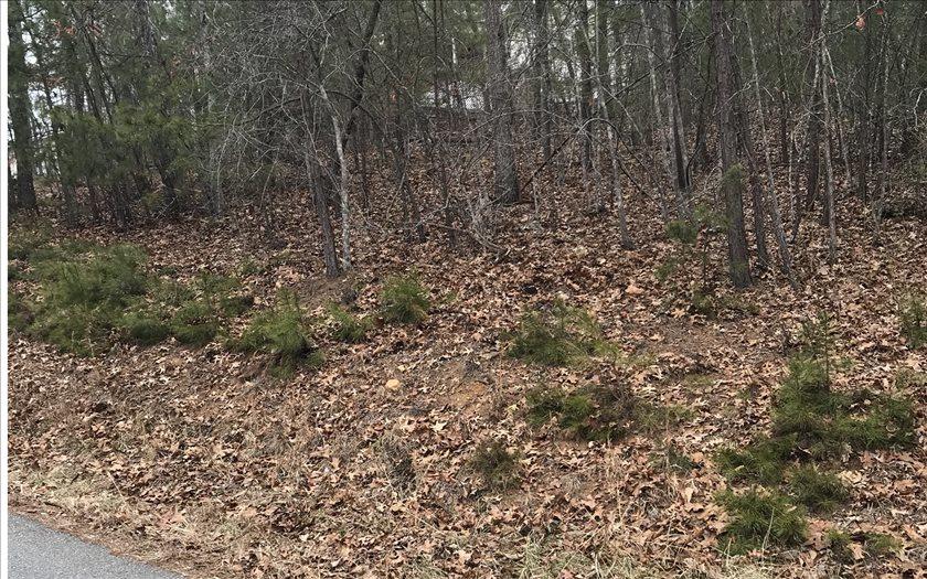 LOT 9 Notla Landing - Photo 1