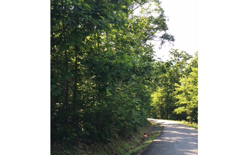 LOT18 Bear Trail - Photo 1