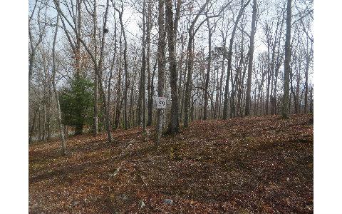 LT 59 Arden Acres - Photo 1