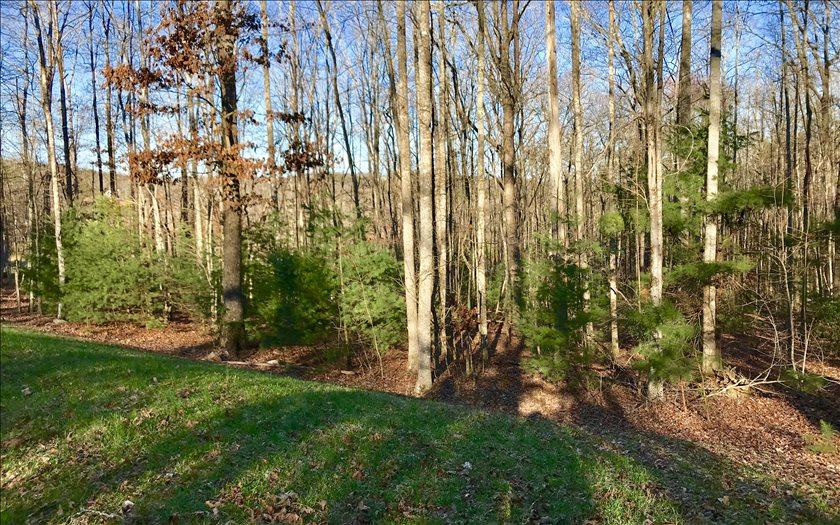LOT 1 Sharp Top Settlement - Photo 1