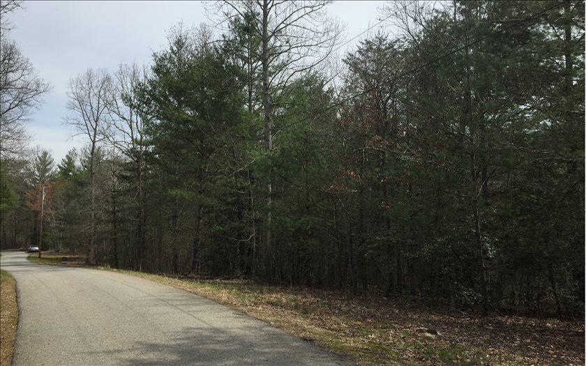 LOT 1 Cozy Cove Road - Photo 1