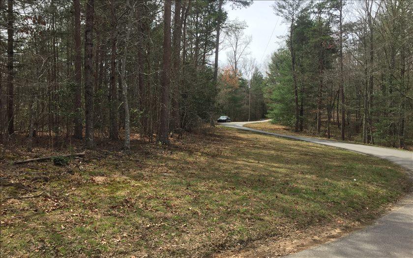 LOT 2 Cozy Cove Road - Photo 1