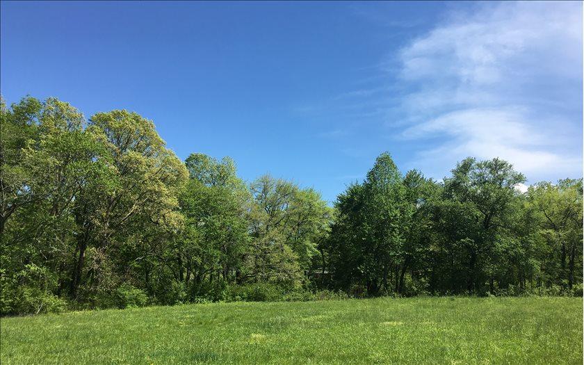 LOT 6 Owen Glen - Photo 1