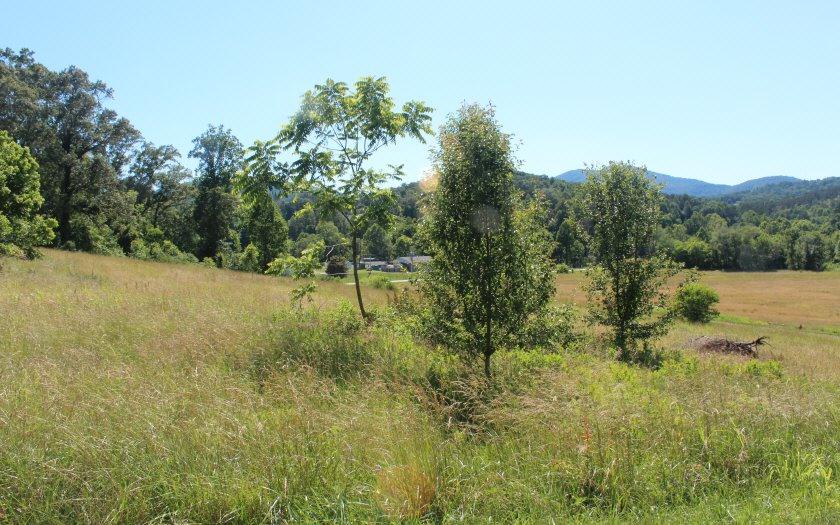 LT 1 Village View - Photo 1