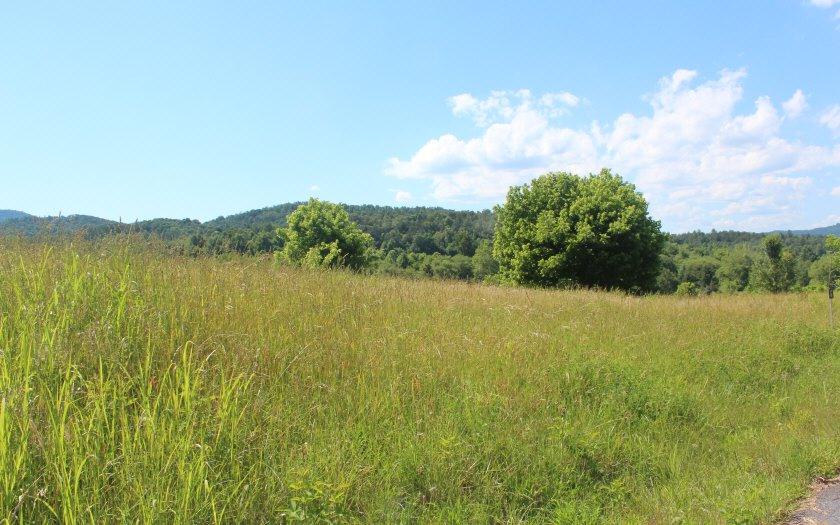 LT 6 Village View - Photo 1