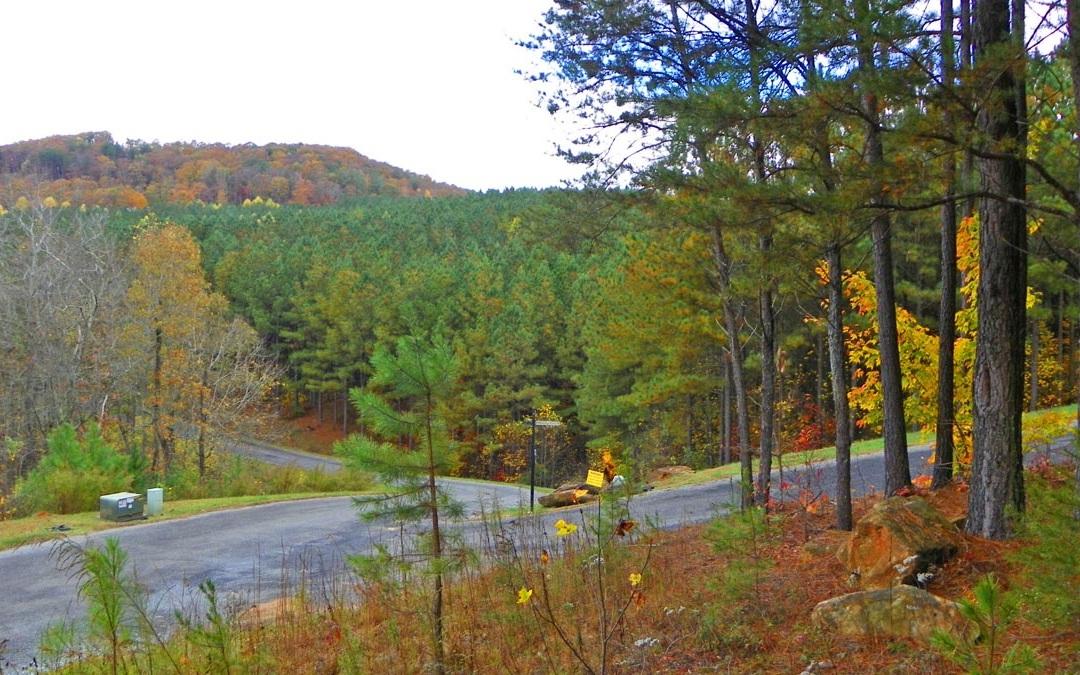 LOT 1 Black Bear Ridge - Photo 1 LOT 1 Black Bear Ridge - Photo 1