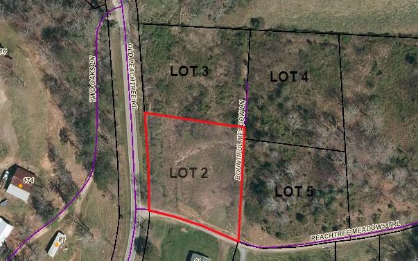 LOT 2 Peachtree Meadows Tr - Photo 1