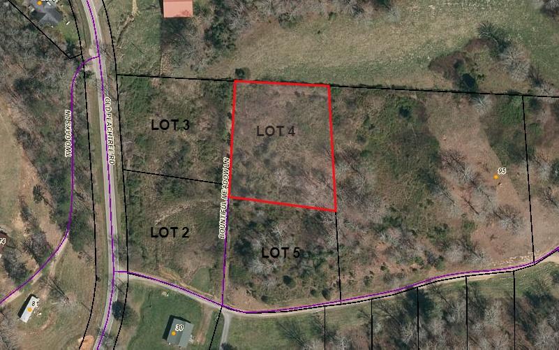 LOT 4 Peachtree Meadows Tr - Photo 1