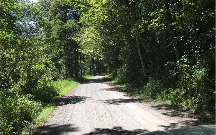 4 AC Big Creek Rd - Photo 1