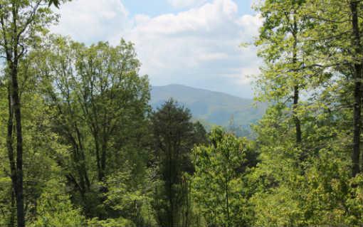LOT 8 White Oak Springs - Photo 1