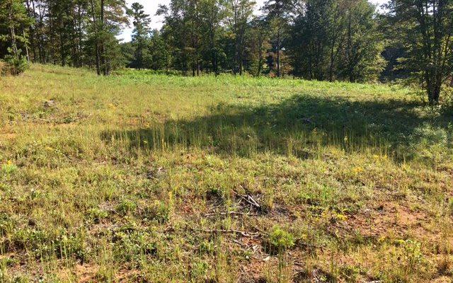 LT 23 Brookwood Hills - Photo 1