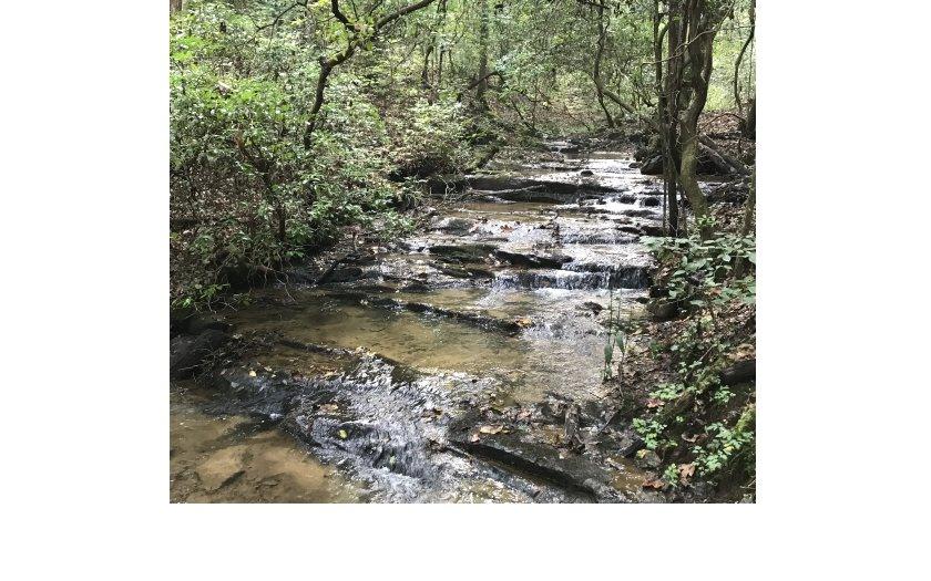 L 25 Gold Creek - Photo 1