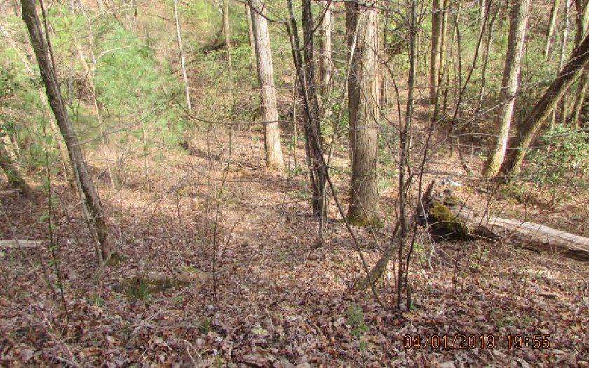 100 Creekside Trail - Photo 1 100 Creekside Trail - Photo 1