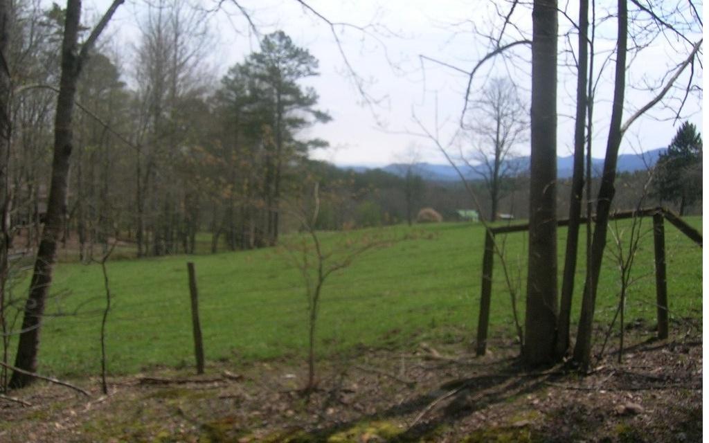 L 15 Preachers Rd - Photo 1