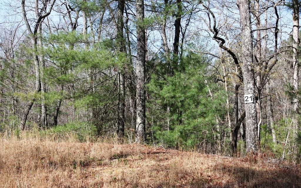 L 21 Oak Hills Estates - Photo 1