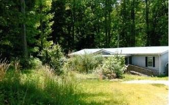 902 Ivylog Road - Photo 1