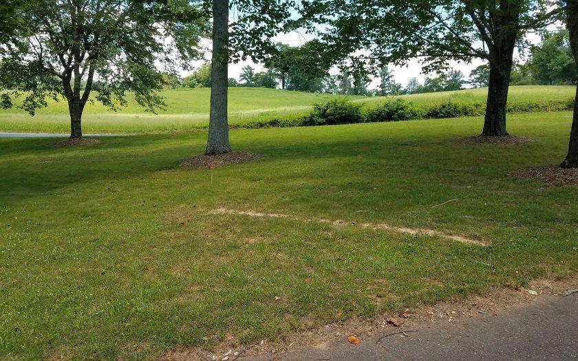 LT 14 Fairway Meadows Dr - Photo 1 LT 14 Fairway Meadows Dr - Photo 1