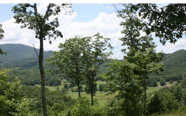 000 Spring View Drive - Photo 1