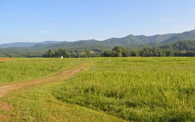 Overlook @ Rice Farm - Photo 1 Overlook @ Rice Farm - Photo 1
