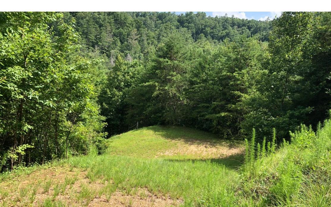 000 Wilderness Lake Cir - Photo 1