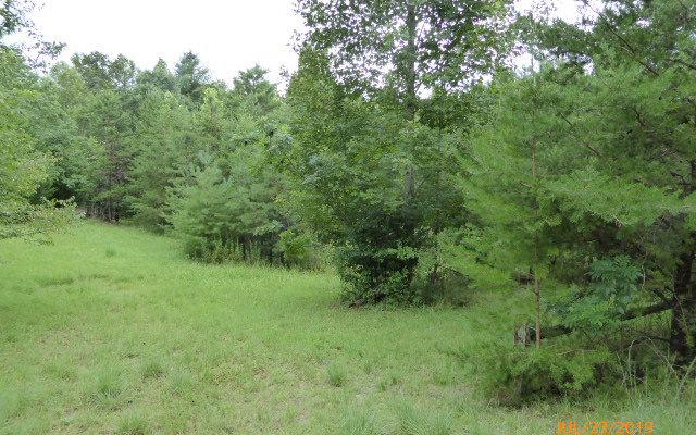 LT26C Spring Creek Rd - Photo 1