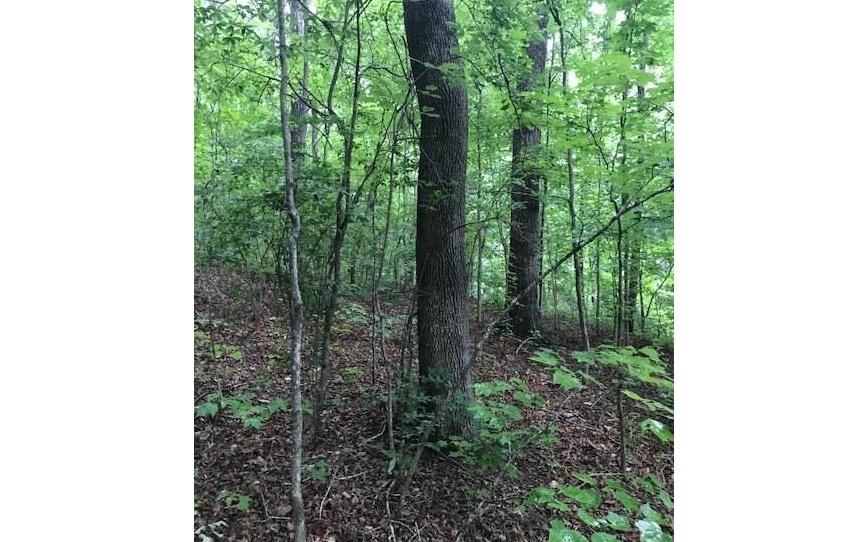 00 HIDDEN CREEK - Photo 1