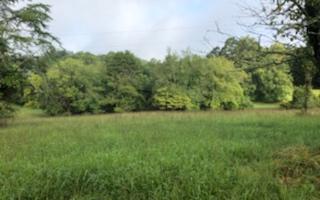 TBD Henson Road - Photo 1