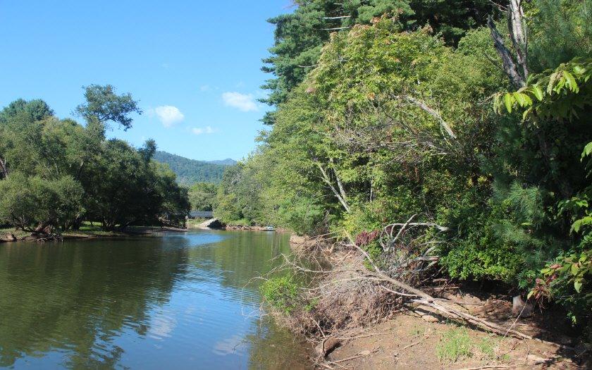 Laurel Branch - Photo 1 Laurel Branch - Photo 1