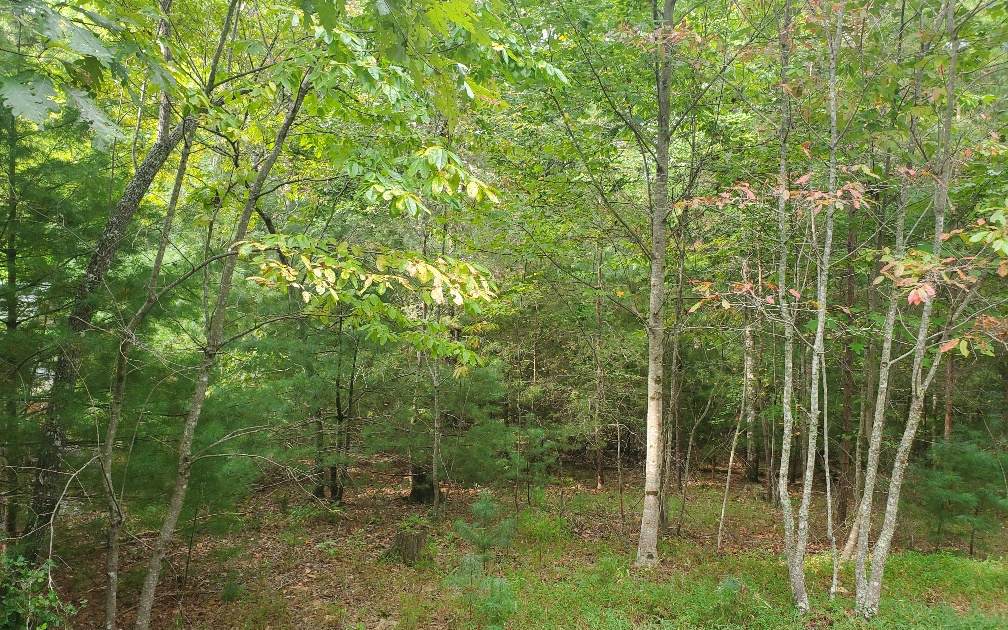 Warnock Mtn Acres - Photo 1