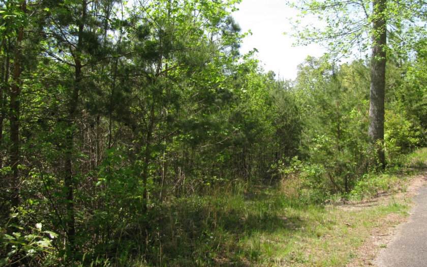 TR. 2 Taywalk Way - Photo 1