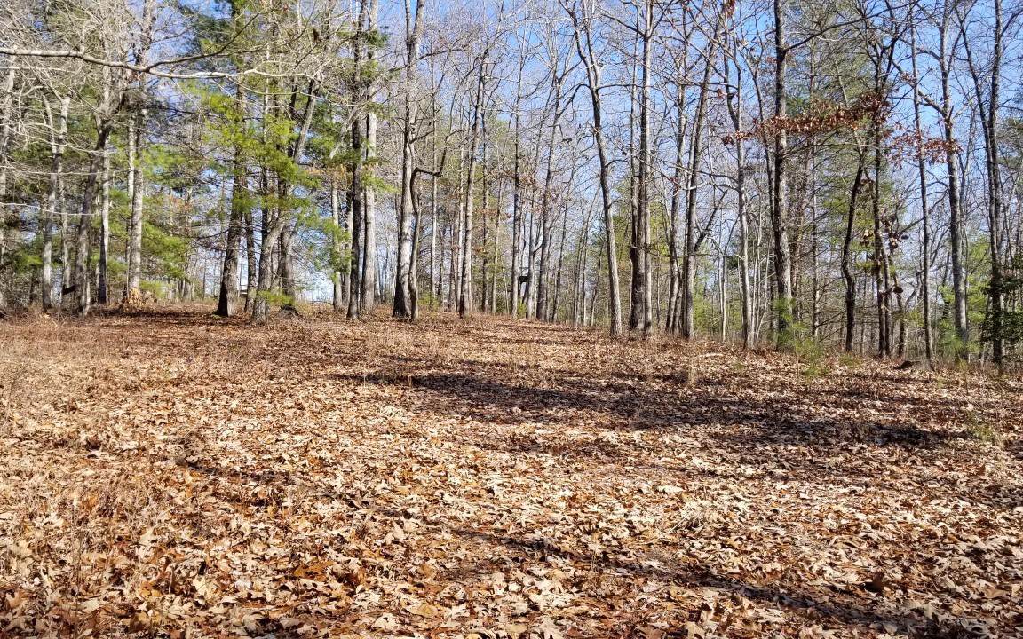 0 Friendship Church Rd - Photo 1