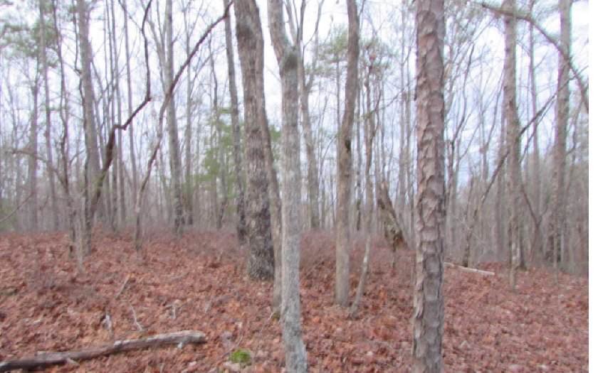 212 Mohawk Trail - Photo 1 212 Mohawk Trail - Photo 1