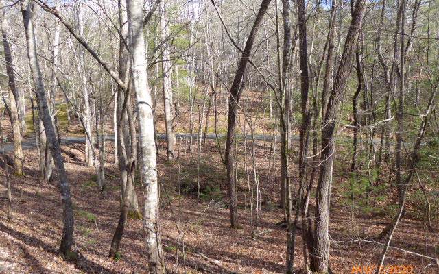 LT16 Brasstown View - Photo 1