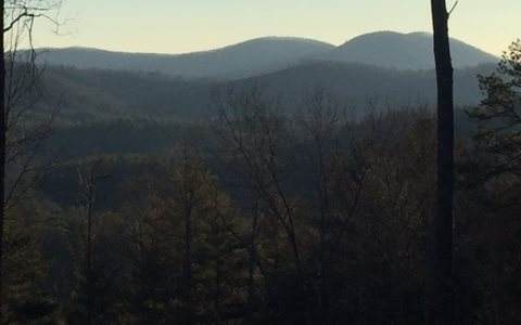Laurel Trail - Photo 1