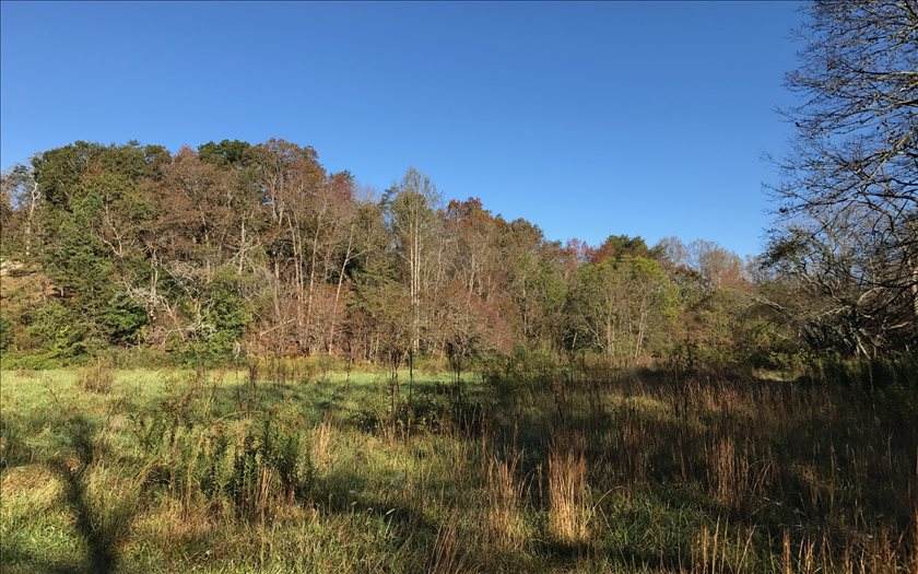 LOT18 River Meadows - Photo 1