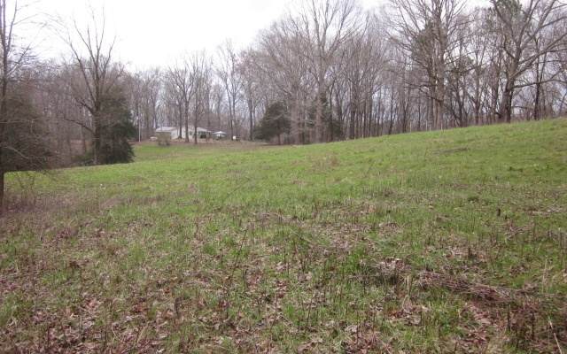 193 Chance Way - Photo 1