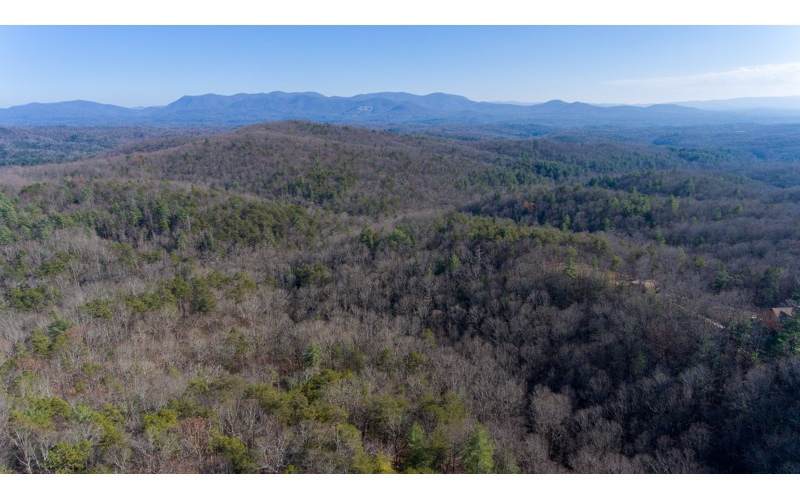 75 AC Turkey Knob/Oceola - Photo 1 75 AC Turkey Knob/Oceola - Photo 1