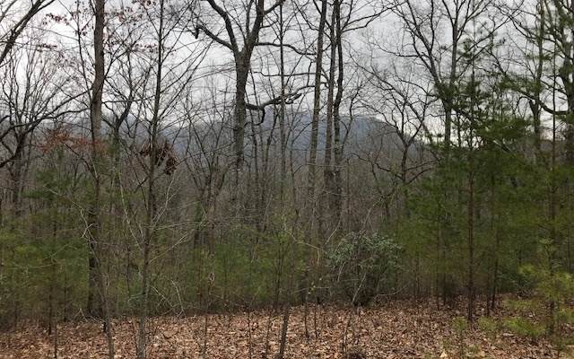 TR. 4 Hawkview Road - Photo 1