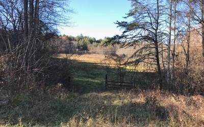 10 AC Loving Rd@Jonica Gap - Photo 1