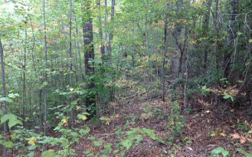 Holly Hill Lane - Photo 1 Holly Hill Lane - Photo 1